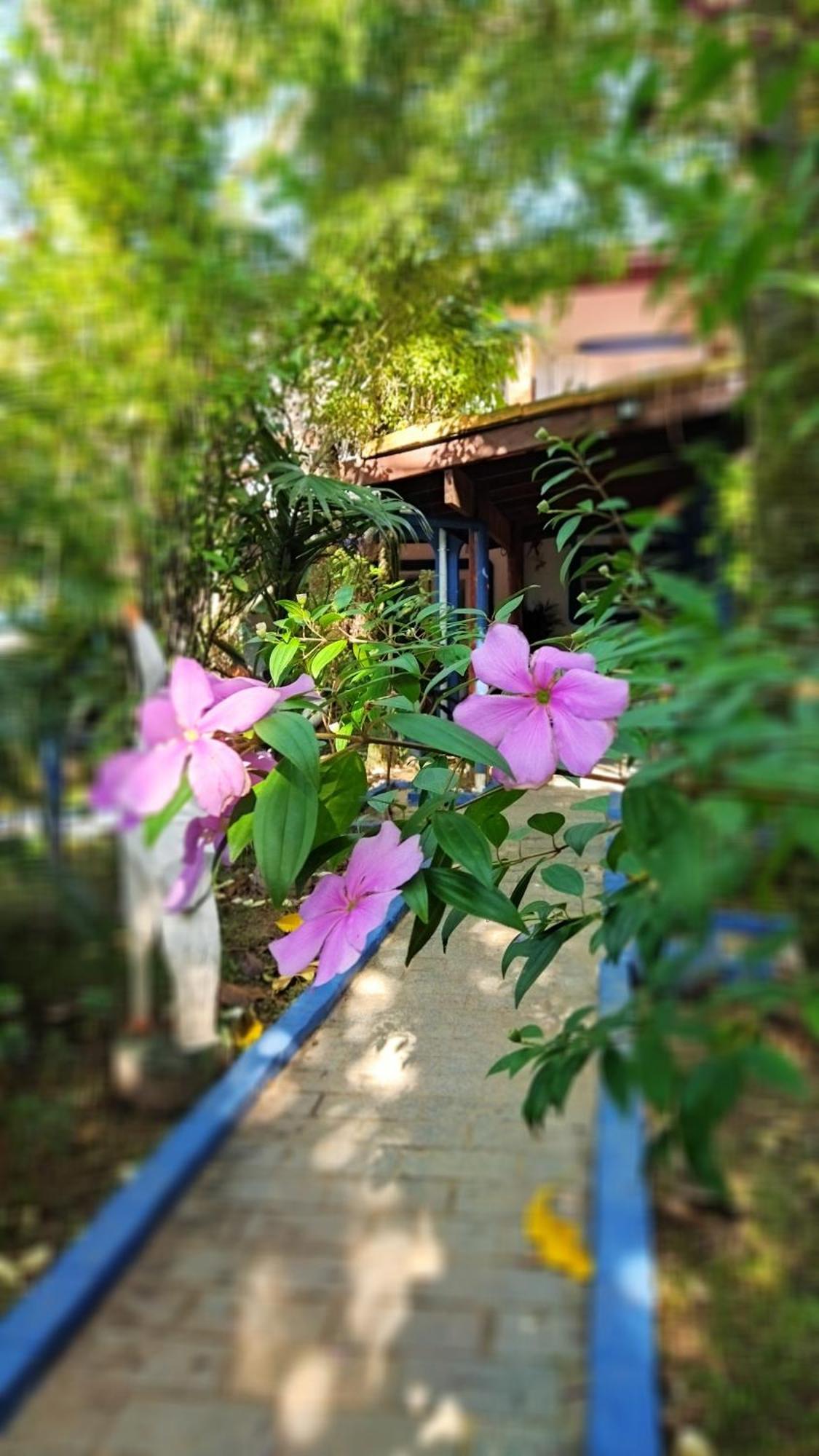 A Casa Do Sol Cibratel Pousada Итаньяэн Экстерьер фото
